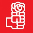 Grupo Poltico Municipal del Partido Socialista Obrero Espaol (PSOE)